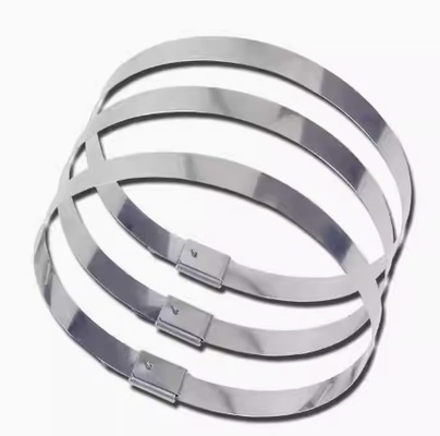 4.6*200mm Heavy Duty 304 Stainless Steel Zip Ties Self-Locking Metal Cable Ties For Outdoor Use