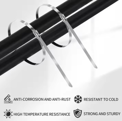 4.6*200mm Heavy Duty 304 Stainless Steel Zip Ties Self-Locking Metal Cable Ties For Outdoor Use